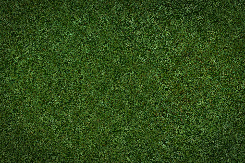 grass background